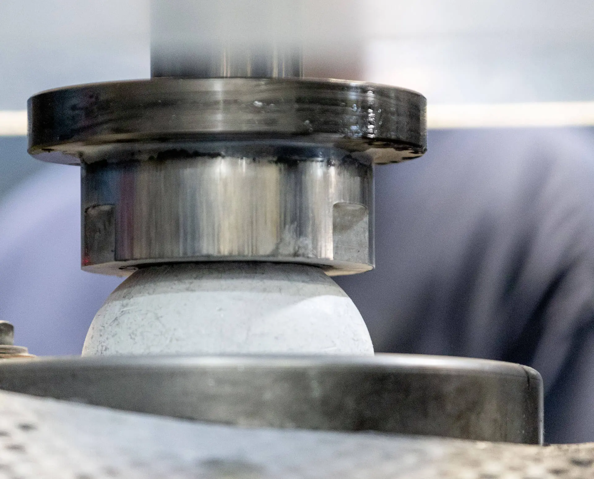 SunflowerJPG-1937 (1)